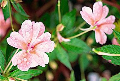 从掘地求生转行深海潜水员！《地心归途》全新版本！“幽深之海”现已上线